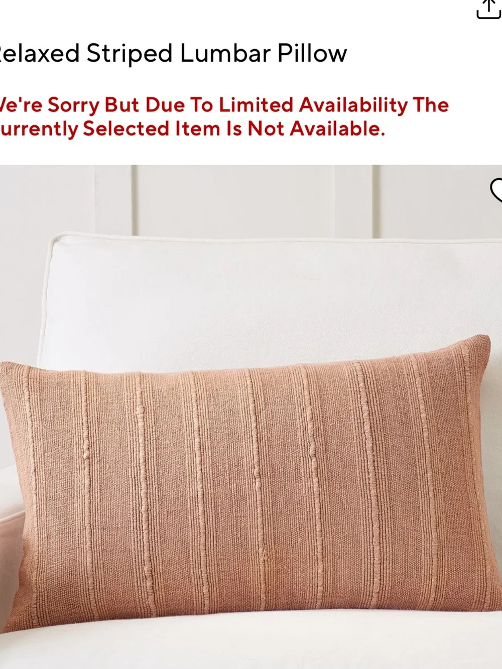 SET OF TWO Pottery Barn throw pillows